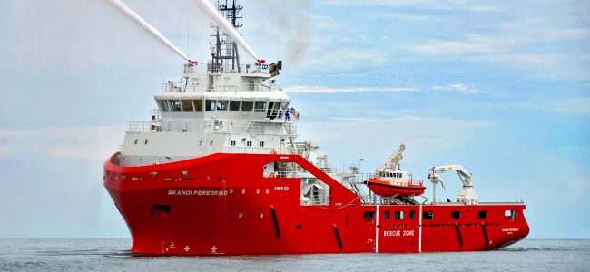 Skandi Peregrino 1